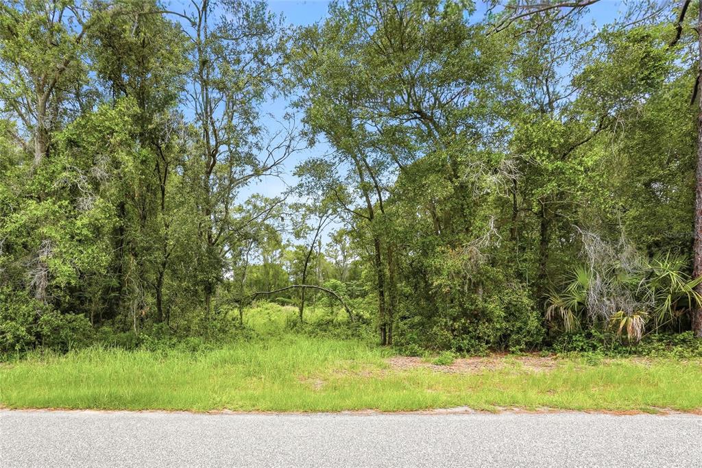 A view of a vacant, wooded lot from an adjacent paved road — 7002 N CASTLEBURY, HERNANDO, FL