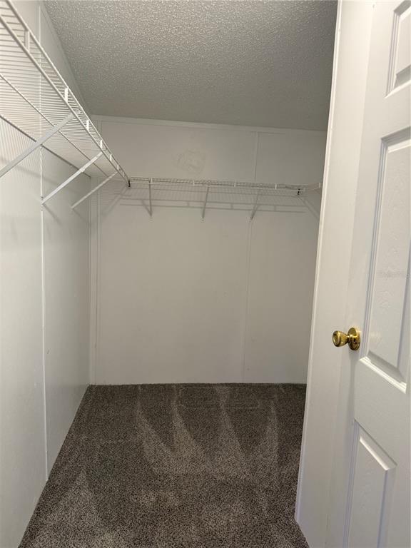 A walk-in closet with white walls, gray carpet, and white wire shelving — 129 PATRICIAN PLACE, SATSUMA, FL