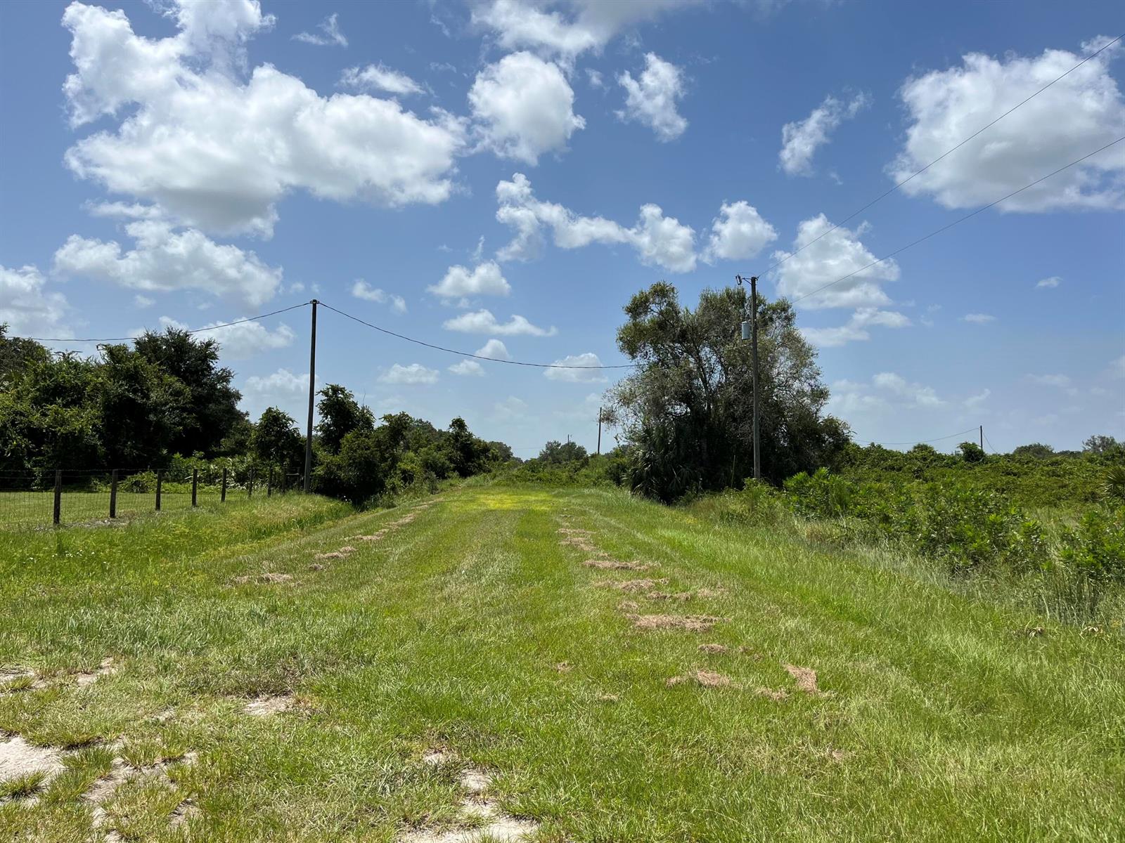 A grassy path stretches between trees and utility poles under a blue sky with clouds — 18325 NW 278th Street, Okeechobee FL 34972, OKEECHOBEE, FL