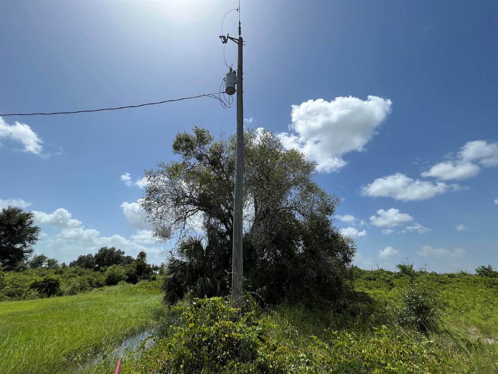 A utility pole with a transformer stands in a grassy field near trees and brush — 18325 NW 278th Street, Okeechobee FL 34972, OKEECHOBEE, FL