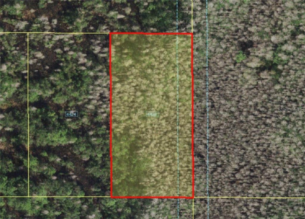 HOLOPAW GROVES ROAD, ST CLOUD, FL — photo 2 of 3