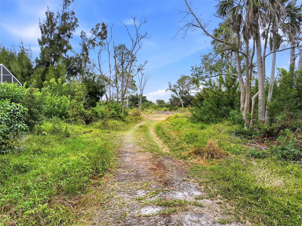A dirt path leads through a grassy, overgrown lot surrounded by trees and shrubs — 0 DUNBAR ROAD, VENICE, FL
