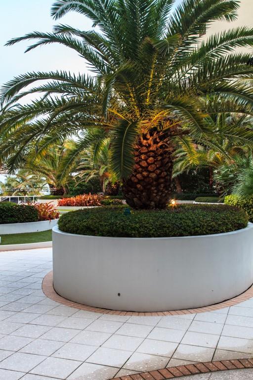 A large palm tree grows from a circular white planter on a tiled patio — 100 Lincoln Rd # 943, Miami Beach FL 33139, MIAMI BEACH, FL