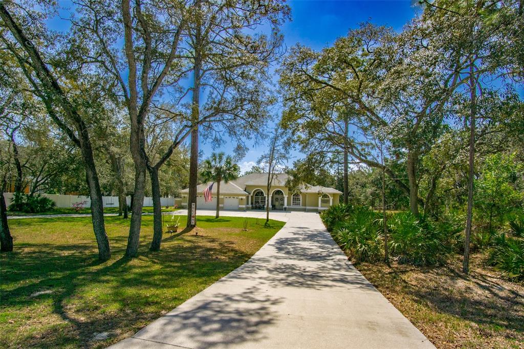 A long concrete driveway leads to a single-story house surrounded by many tall trees — 11092 MIRAGE AVENUE, WEEKI WACHEE, FL