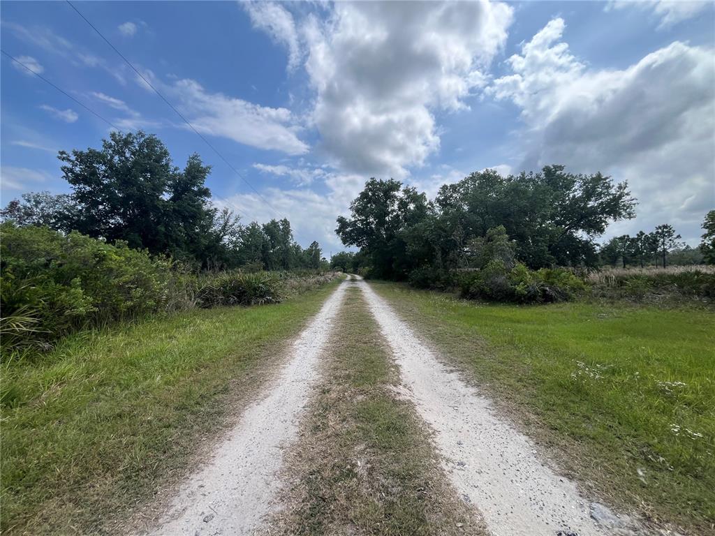 A dirt path leads through a grassy field toward a line of trees — 10780 STATE ROAD 60 E, LAKE WALES, FL