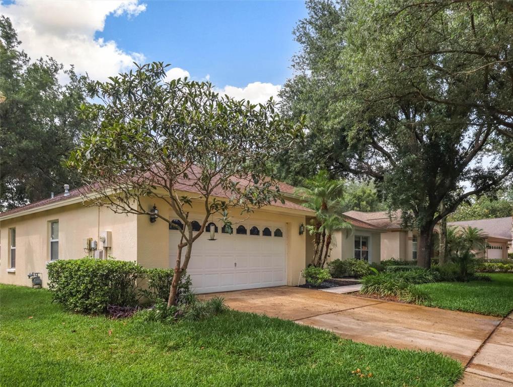 A single-story house with a beige stucco exterior, a two-car garage, and mature trees — 10110 WHISPER POINTE DRIVE, TAMPA, FL