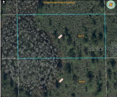 This is an aerial map showing two adjacent rectangular land parcels outlined in blue — DILL ROAD, ORLANDO, FL