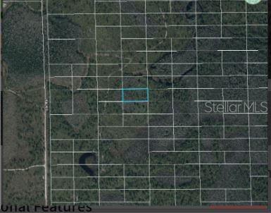 This is an aerial map showing a rectangular parcel of land highlighted in blue — DILL ROAD, ORLANDO, FL