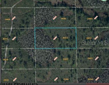 This is an aerial map view of a rectangular plot of land outlined in blue — DILL ROAD, ORLANDO, FL