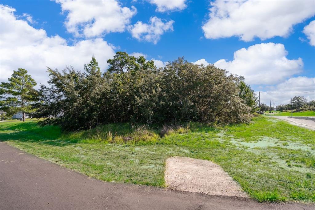 A grassy, partially wooded vacant lot sits next to a paved road and driveway apron — 174 MAPLE DRIVE, POINCIANA, FL