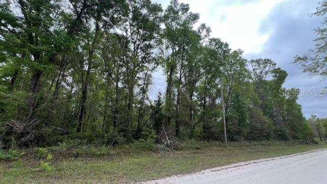 A dirt road runs alongside a wooded area with tall trees under a cloudy sky — NW 37 COURT, BRANFORD, FL