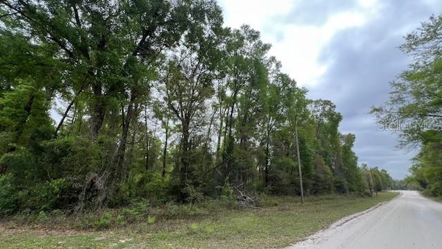 A dirt road runs alongside a wooded lot with tall trees under a cloudy sky — NW 37 COURT, BRANFORD, FL