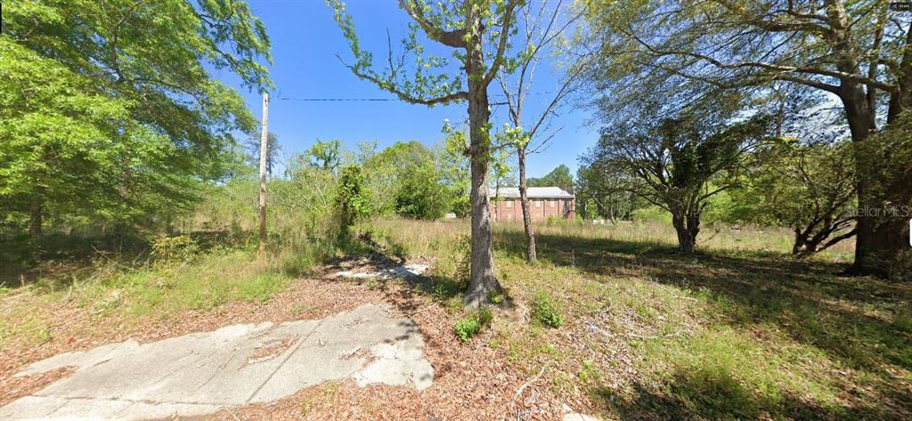 A vacant, overgrown lot features a concrete pad in the foreground and trees throughout — 120 FRONT STREET, CENTURY, FL