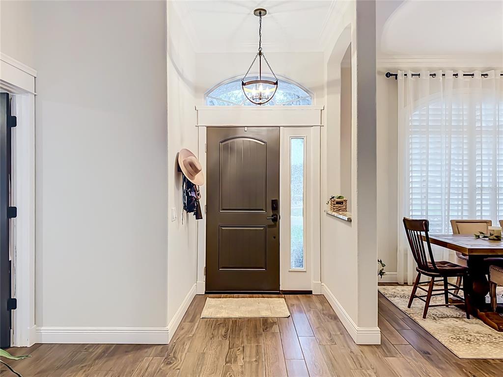 A foyer features a dark front door, a hanging pendant light, and wood-look flooring — 3605 ELK RIDGE LANE, VALRICO, FL