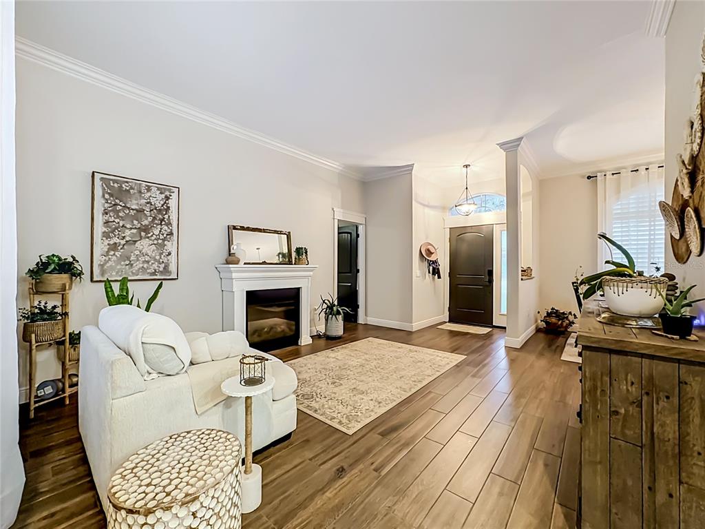 A living room with a fireplace, white sofa, and wood-look tile flooring near an entryway — 3605 ELK RIDGE LANE, VALRICO, FL