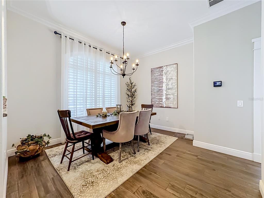 A dining room features a wooden table, upholstered chairs, a chandelier, and a patterned area rug — 3605 ELK RIDGE LANE, VALRICO, FL
