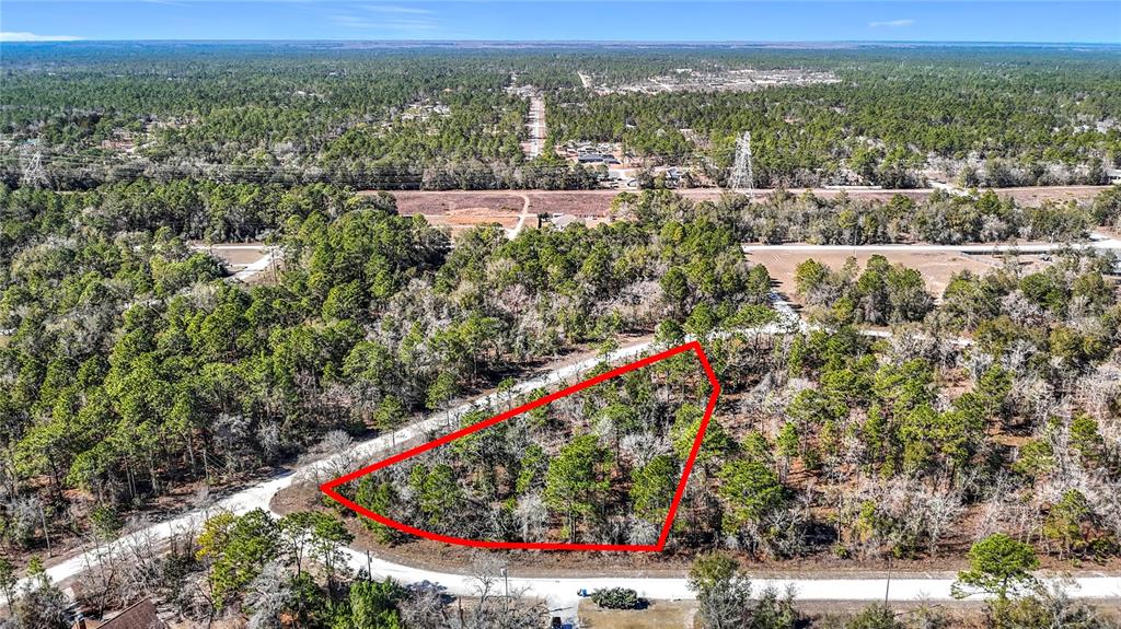 16070 SHELDRAKE LOOP, WEEKI WACHEE, FL — photo 2 of 23