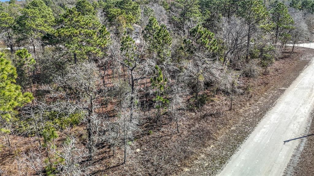 16070 SHELDRAKE LOOP, WEEKI WACHEE, FL — photo 3 of 23
