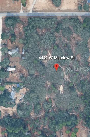 This is an aerial map view of a wooded, undeveloped plot of land — 4442 W MEADOW STREET, HOMOSASSA, FL