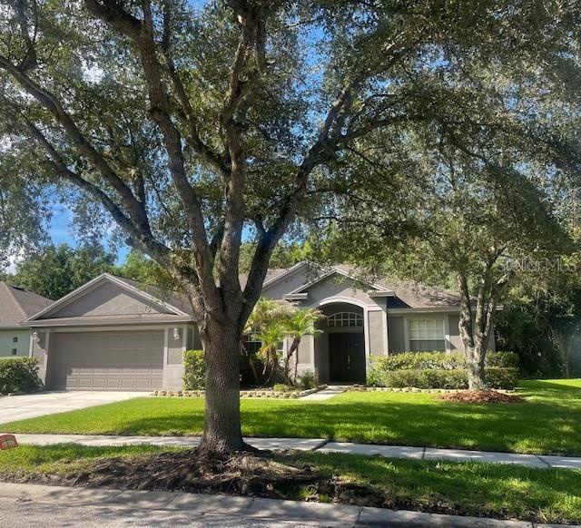 A single-story house with a two-car garage and large oak trees in the front yard — 8343 TORRINGTON AVENUE, TAMPA, FL