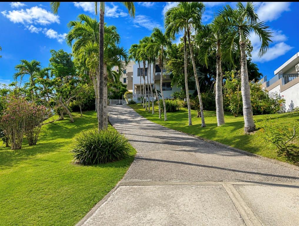 A paved driveway leads up a grassy hill toward a multi-story house lined with palm trees — Calle B# 7 URB. MONTE BRISA, GURABO, PR