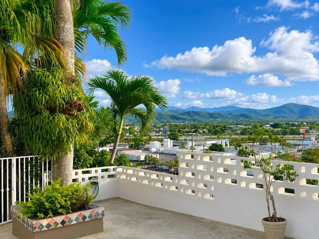 A rooftop terrace features a white decorative wall, potted plants, and views of distant mountains — Calle B# 7 URB. MONTE BRISA, GURABO, PR