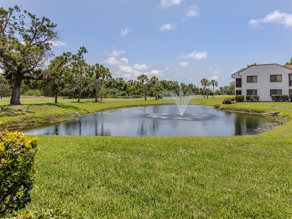 808 CAPRI ISLES BLVD UNIT 111, VENICE, FL — photo 5 of 30