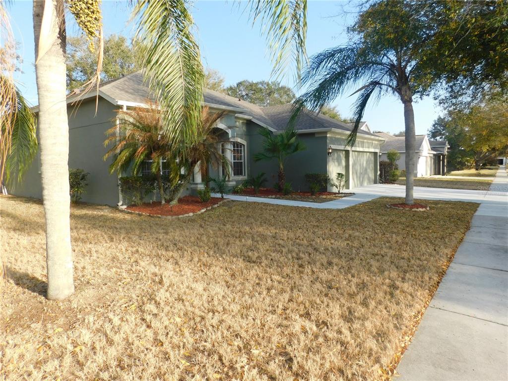 12902 CATTAIL SHORE LANE, RIVERVIEW, FL — photo 2 of 30