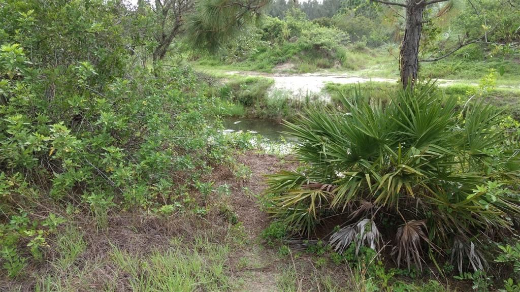 A small, narrow creek flows through a wooded area with dense green vegetation and palmettos — 1508 WASHINGTON AVENUE, LEHIGH ACRES, FL