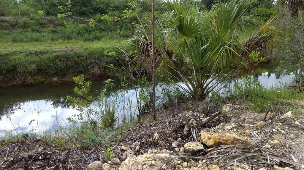 A small, narrow canal runs alongside a grassy bank with a palm tree and rocks — 1508 WASHINGTON AVENUE, LEHIGH ACRES, FL
