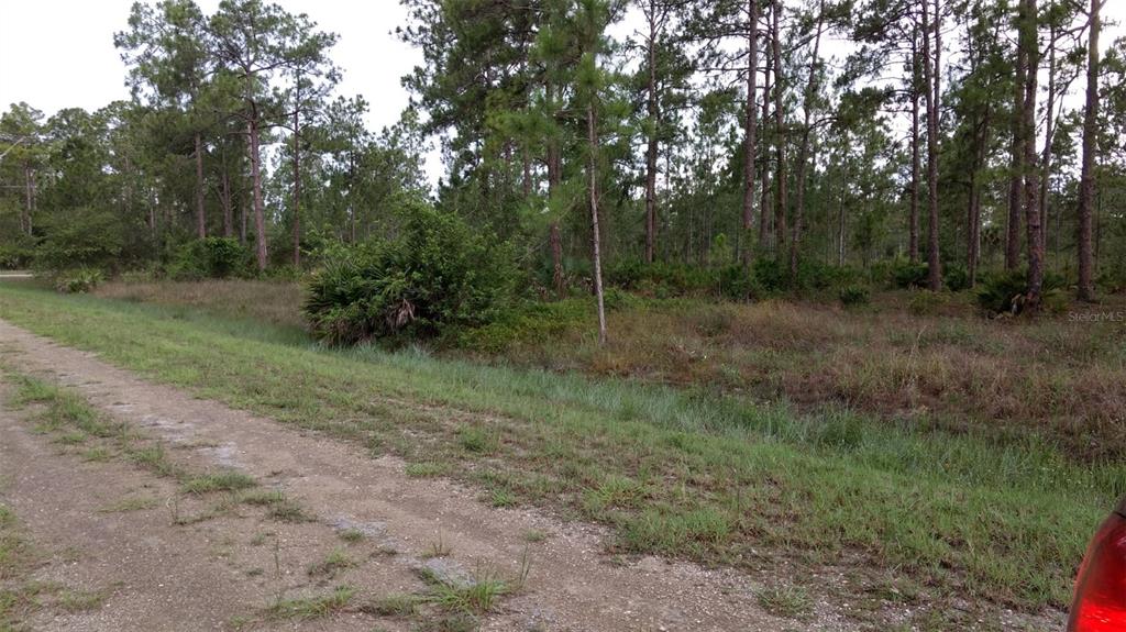 A dirt road runs alongside a grassy, wooded lot with pine trees and low-lying shrubs — 1508 WASHINGTON AVENUE, LEHIGH ACRES, FL