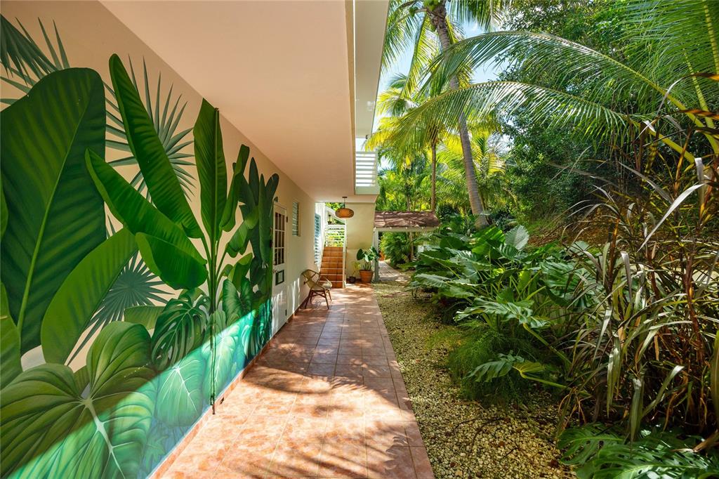 A tiled outdoor walkway features a large tropical leaf mural on the wall and lush landscaping — Carr. 413 Int.  Km 4 THE JUNGLE, RINCON, PR