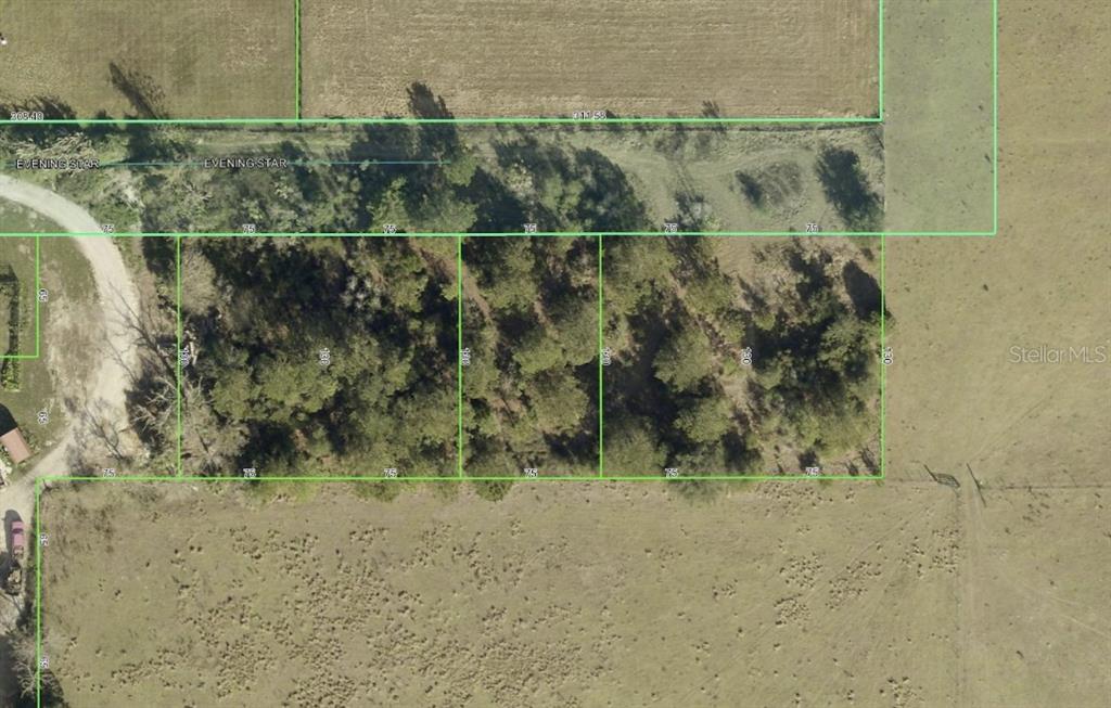 This is an aerial map showing a row of six rectangular wooded land parcels — EVENING STAR UNIT 00, BROOKSVILLE, FL