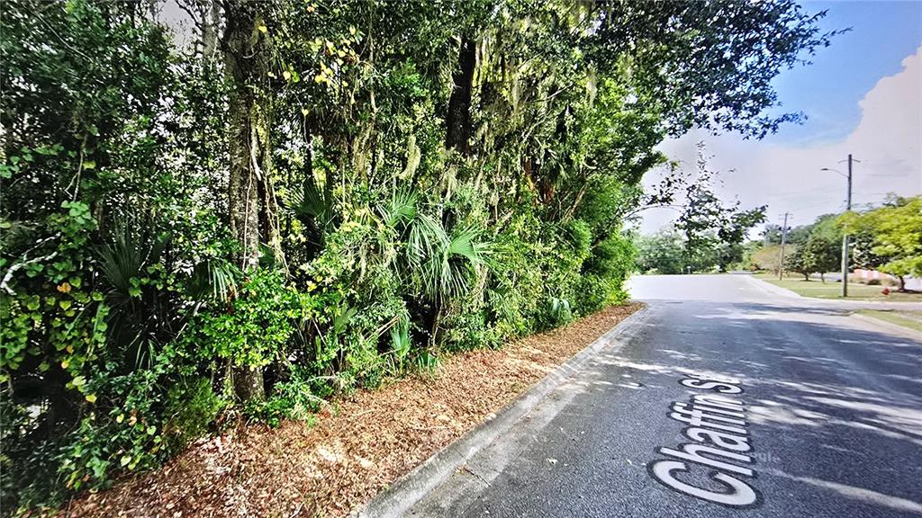 A paved street runs alongside a dense line of trees and foliage — 00 SEMINOLE STREET, MILTON, FL