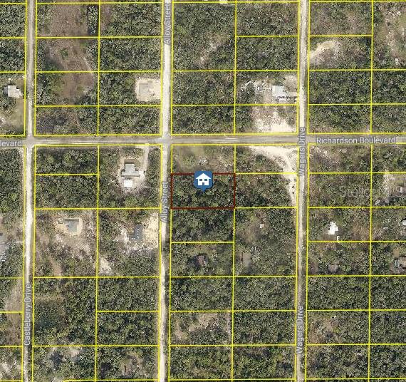 This is an aerial map showing a vacant, wooded lot highlighted in a residential area — LOT 15 ALLOY STREET, WEBSTER, FL