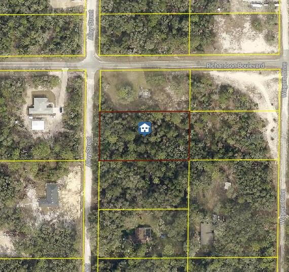 This is an aerial map showing a vacant, wooded residential lot outlined in red — LOT 15 ALLOY STREET, WEBSTER, FL