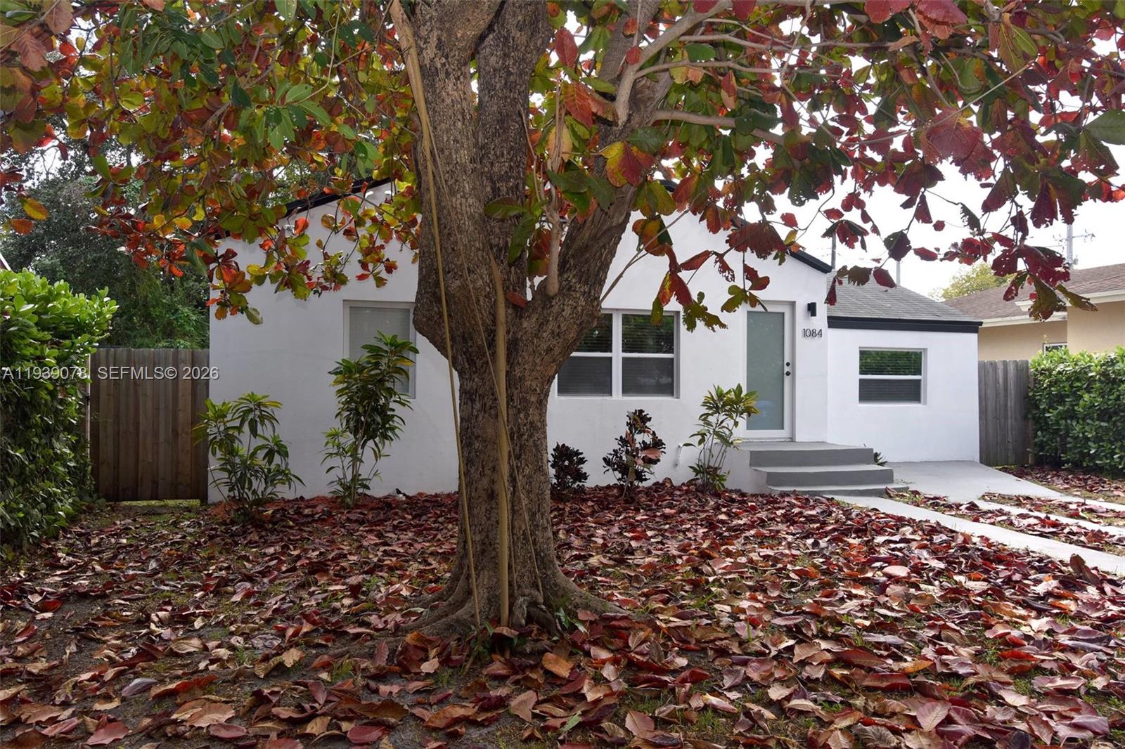 A white house with a large tree in the front yard covered in fallen leaves — 1084 NW 66th St, Miami FL 33150, MIAMI, FL