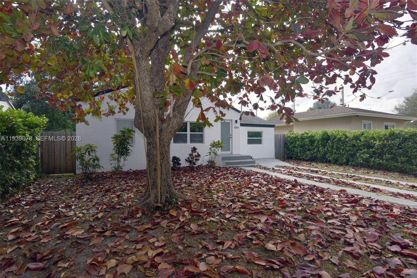 A white house with a large tree and fallen leaves in the front yard — 1084 NW 66th St, Miami FL 33150, MIAMI, FL