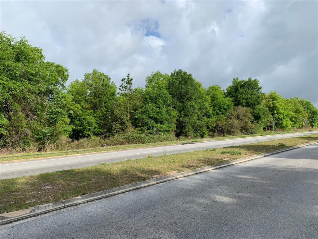 A paved road runs alongside a grassy verge fronting a dense line of green trees — 9440 SW 114TH STREET, OCALA, FL