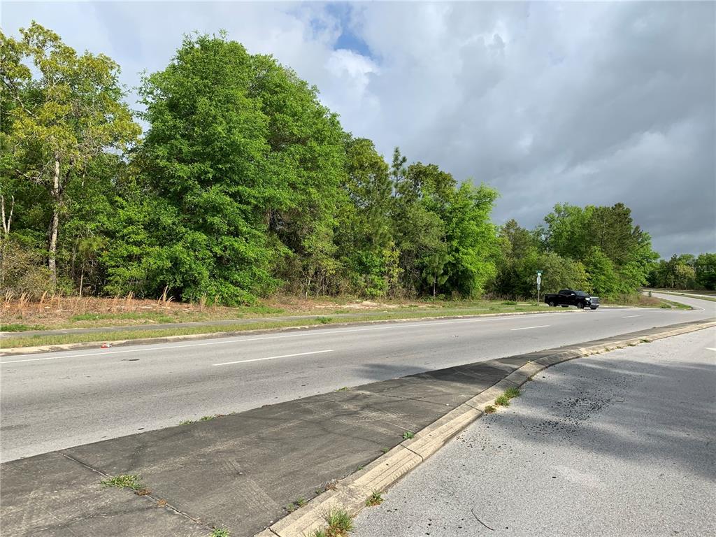 A vacant, wooded lot sits adjacent to a paved road and sidewalk — 9440 SW 114TH STREET, OCALA, FL