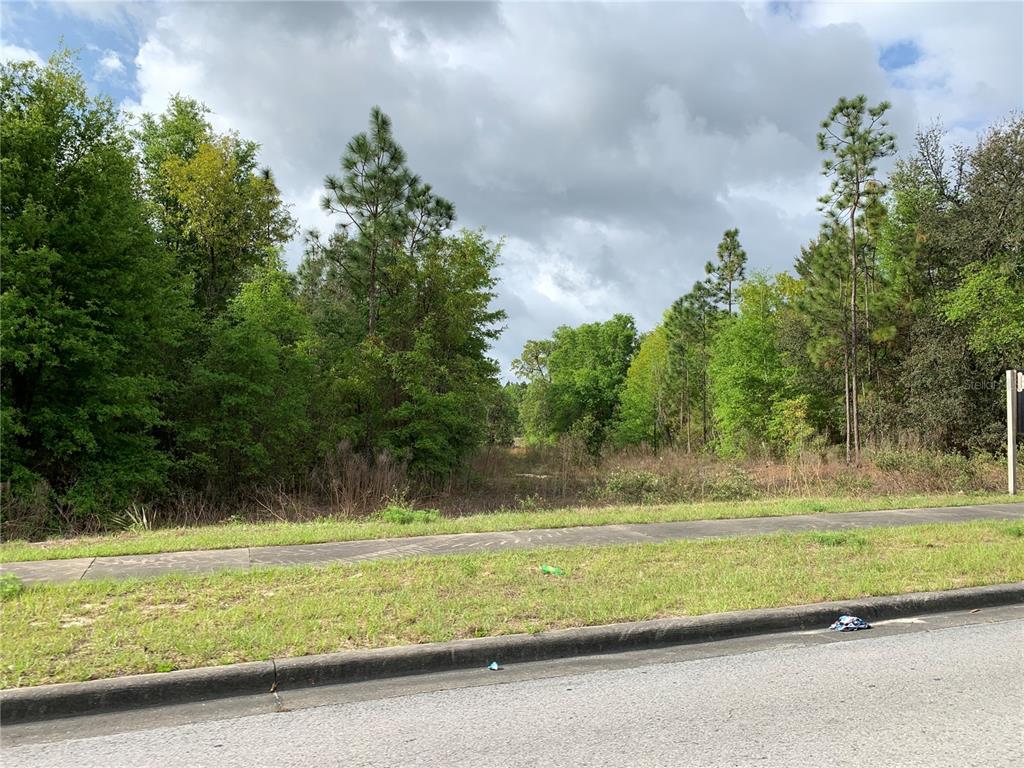 A vacant, wooded lot sits behind a concrete sidewalk and curb — 9440 SW 114TH STREET, OCALA, FL