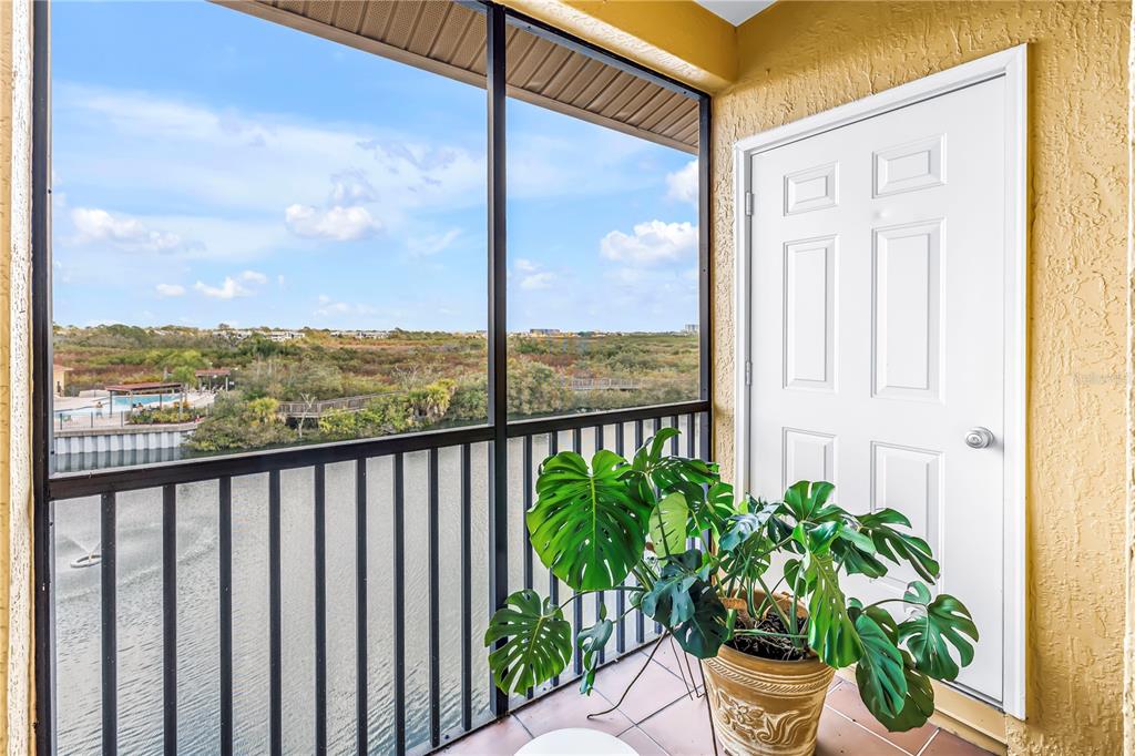 A screened-in balcony features a large potted monstera plant and a view of a lake — 4333 BAYSIDE VILLAGE DRIVE UNIT 320, TAMPA, FL
