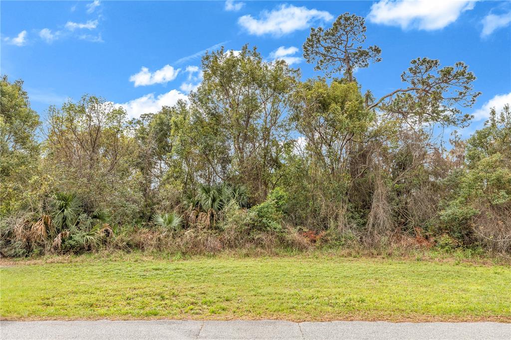A grassy lot sits in front of a dense line of trees and shrubs — 205 PLUMOSA ROAD, DEBARY, FL