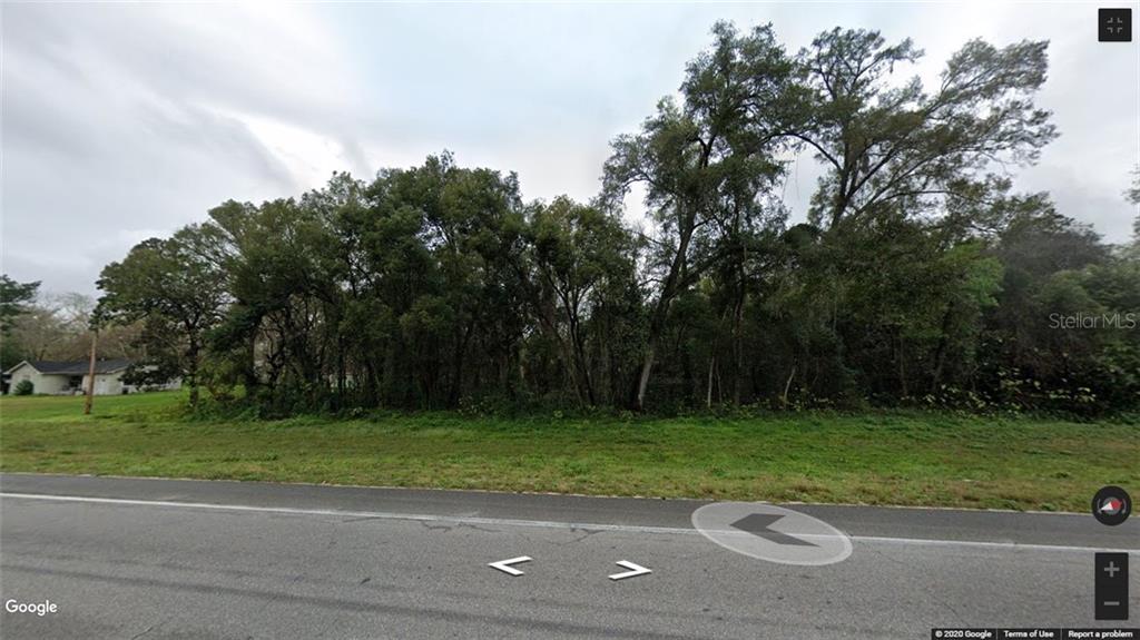 A view of a vacant, wooded lot bordered by a paved road — 0 BROAD STREET, BROOKSVILLE, FL