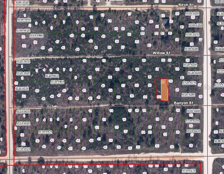 This is a map showing a highlighted rectangular land parcel located between two streets — 00 BANVON STREET, INTERLACHEN, FL