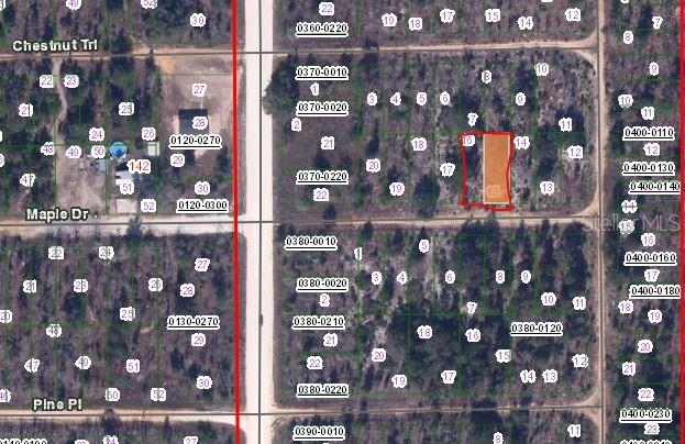 00 MAPLE DRIVE, INTERLACHEN, FL — photo 2 of 3
