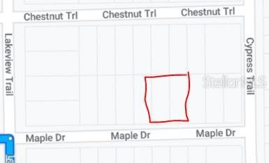 00 MAPLE DRIVE, INTERLACHEN, FL — photo 3 of 3