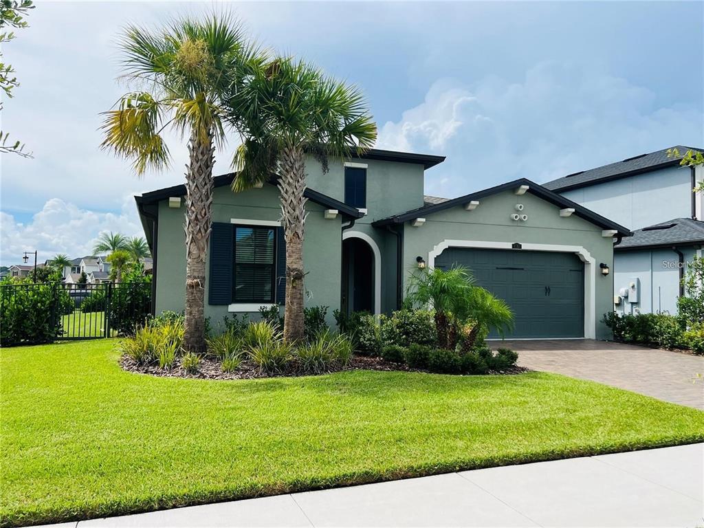 A single-story green house with a two-car garage and two palm trees in the front yard — 4567 TIVOLI DRIVE, WESLEY CHAPEL, FL
