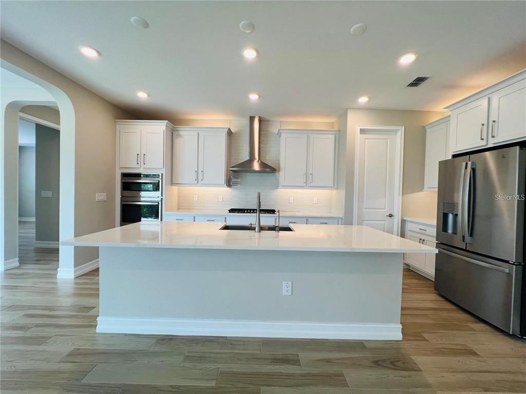 A modern kitchen features white cabinetry, stainless steel appliances, a large island, and wood-look flooring — 4567 TIVOLI DRIVE, WESLEY CHAPEL, FL