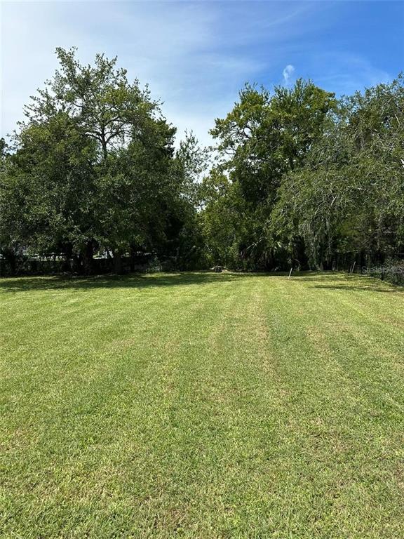 A large, flat, mowed grassy lot is bordered by mature trees under a blue sky — 14569 and 0 CORAL DRIVE, HUDSON, FL
